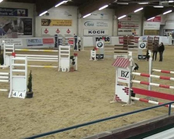 Hallenspringturnier in Borken 2013