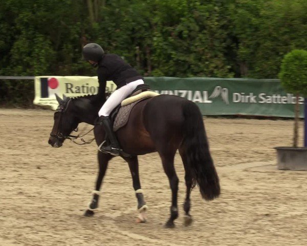 Reitturnier Fröndenberg 2024