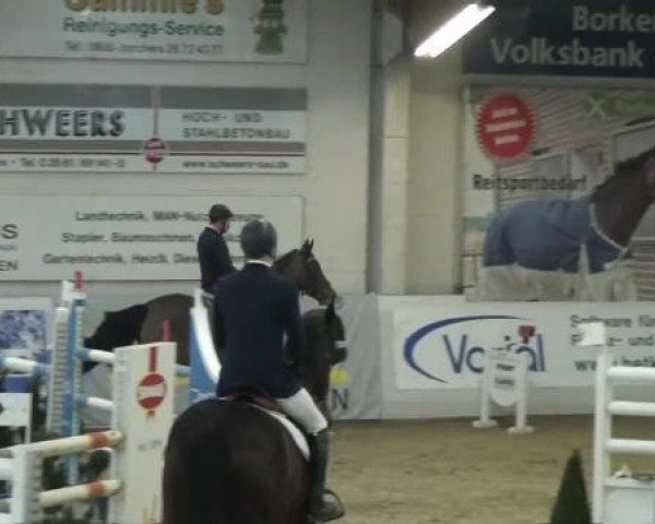 Hallenspringturnier in Borken 2013