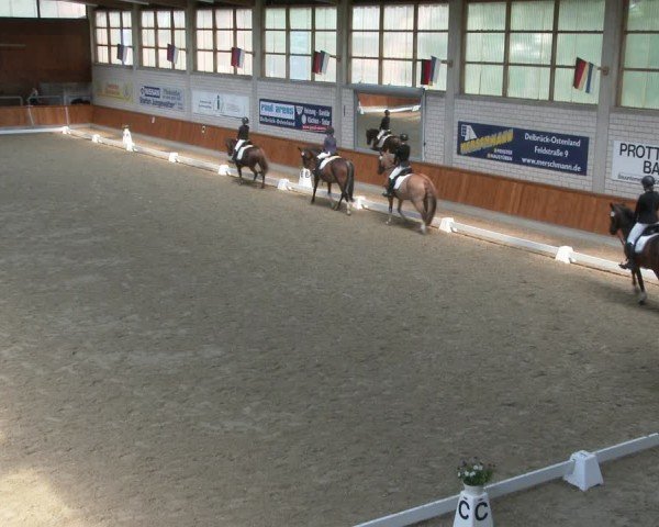 Reitturnier Delbrück-Ostenland 2024