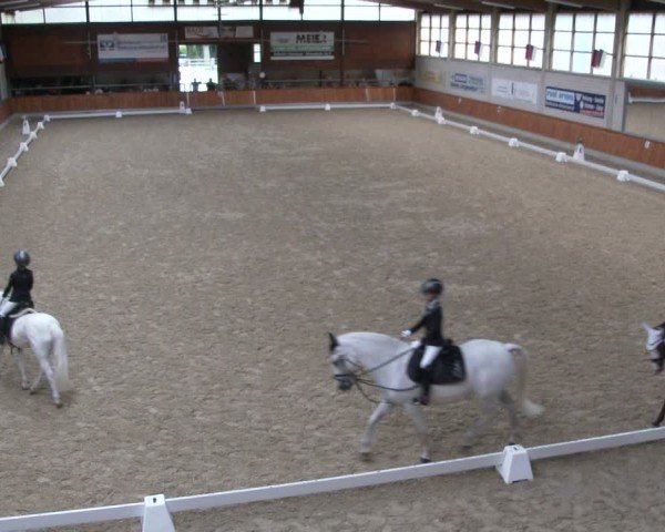 Reitturnier Delbrück-Ostenland 2024