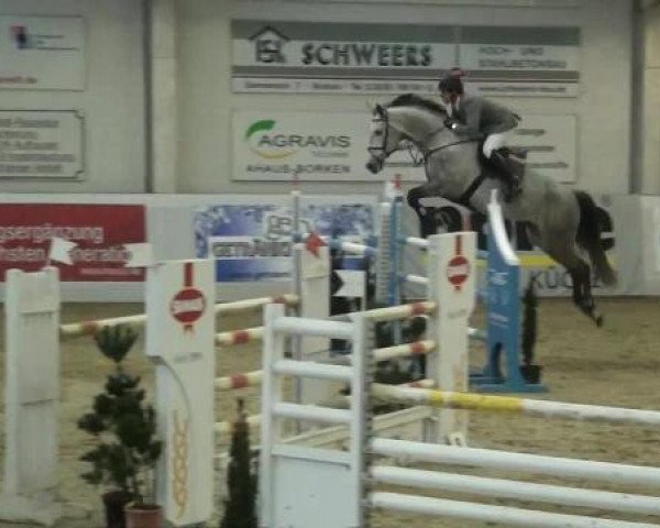 Hallenspringturnier in Borken 2013