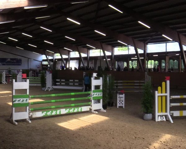 Reitturnier Steinheim 2021