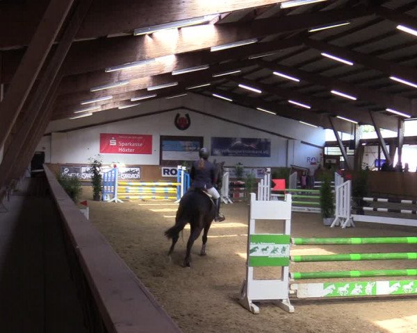 Reitturnier Steinheim 2021