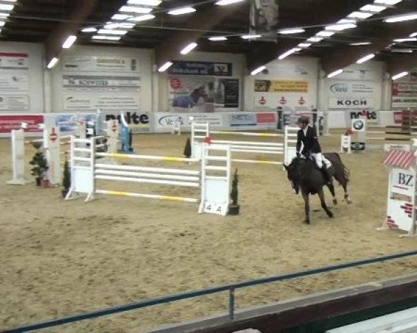 Hallenspringturnier in Borken 2013
