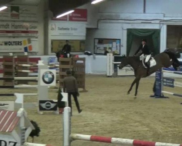 Hallenspringturnier in Borken 2013
