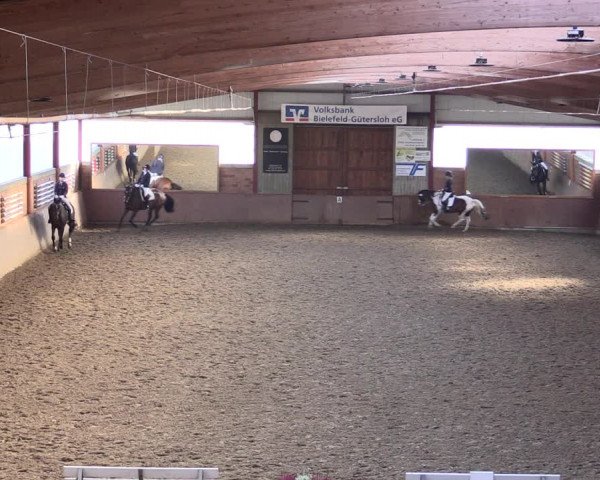 Reitturnier Herzebrock-Rheda 2021