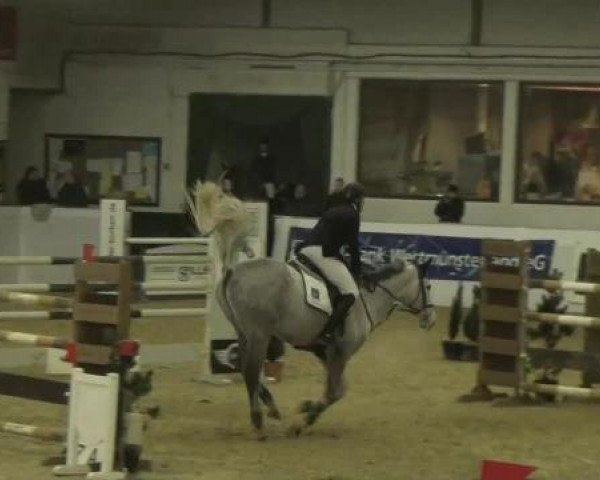 Hallenspringturnier in Borken 2013