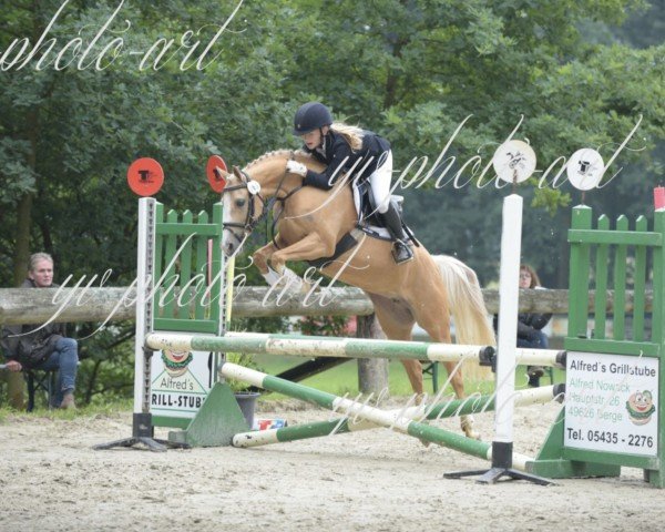 dressage horse Silverado's Sue (German Riding Pony, 2008, from Silverado)