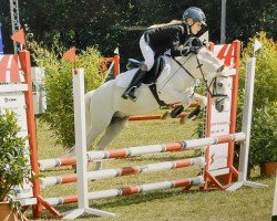 dressage horse Linebrok Music Man II (Welsh mountain pony (SEK.A), 2003, from H-S Original)