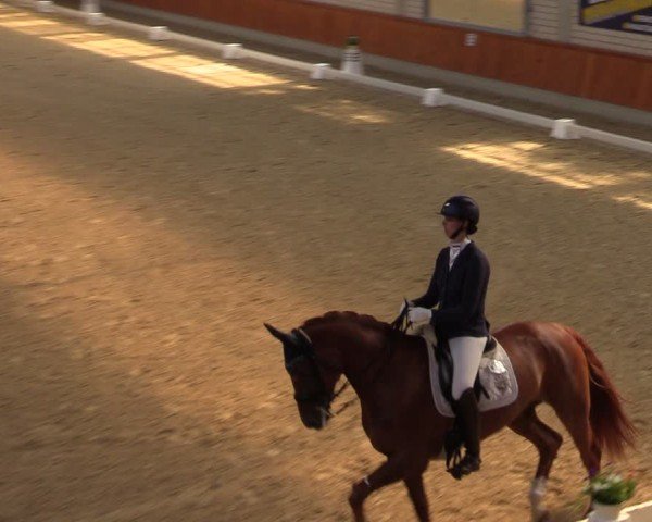 Reitturnier Delbrück-Ostenland 2024