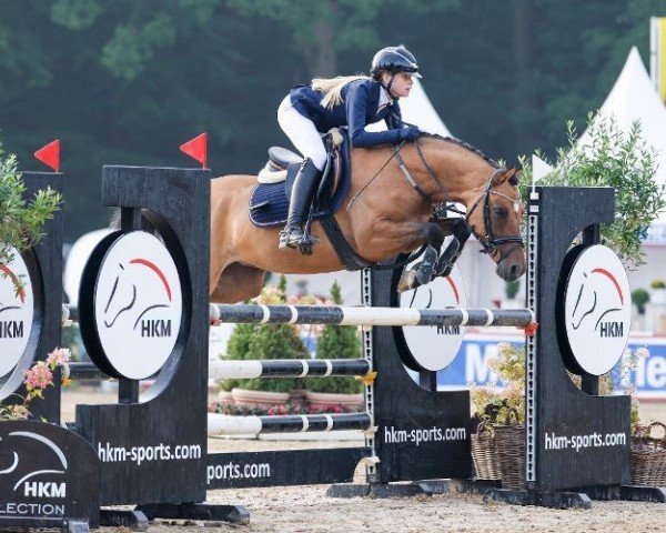 jumper Pav Veilchen (German Riding Pony, 2018, from Nemax)