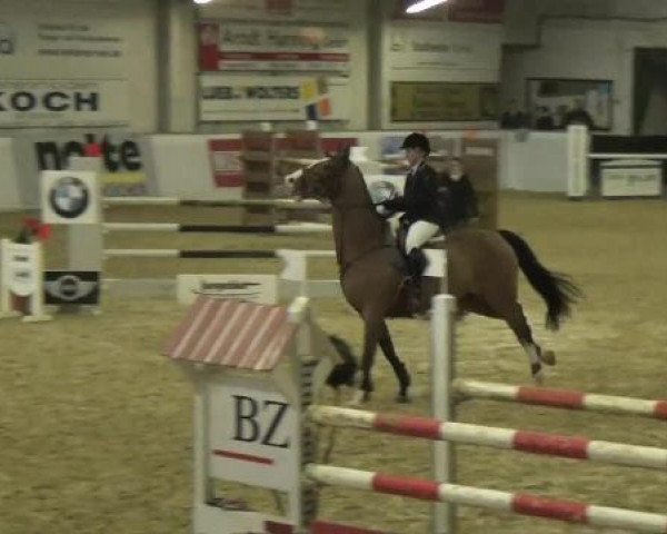 Hallenspringturnier in Borken 2013