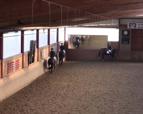 Reitturnier Herzebrock-Rheda 2021