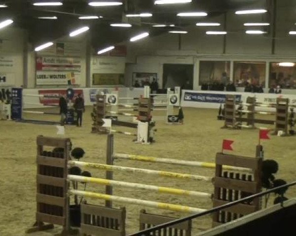 Hallenspringturnier in Borken 2013