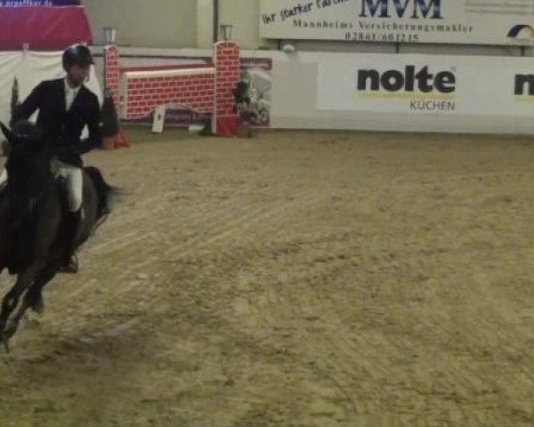 Hallenspringturnier in Borken 2013