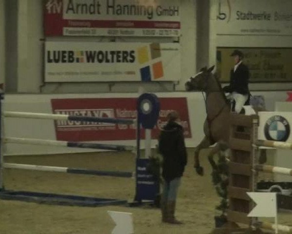 Hallenspringturnier in Borken 2013