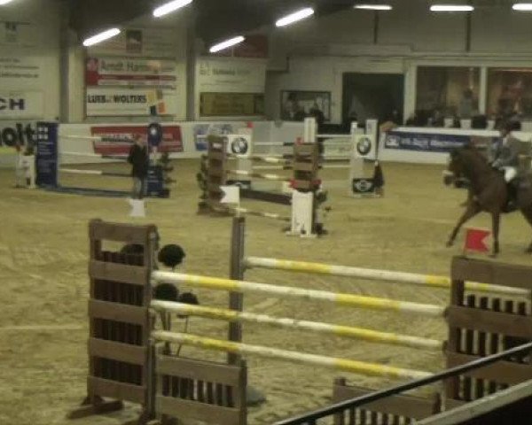 Hallenspringturnier in Borken 2013