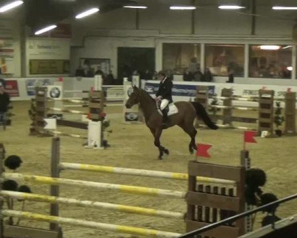 Hallenspringturnier in Borken 2013