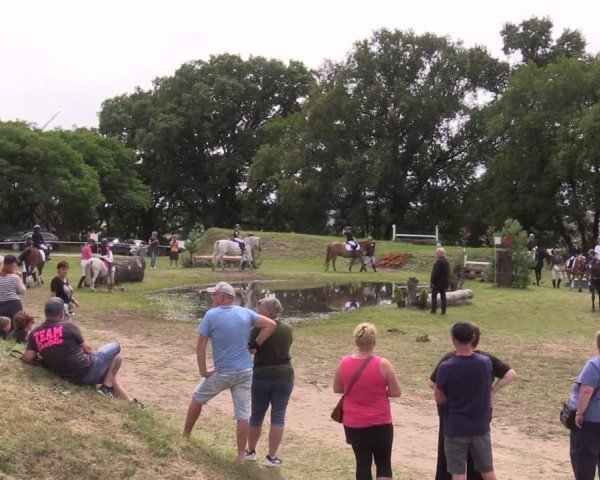 Reitturnier Niederwerbig 2024