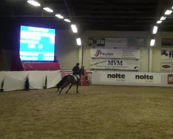 Hallenspringturnier in Borken 2013