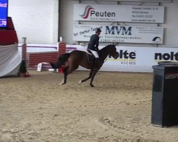 Hallenspringturnier in Borken 2013