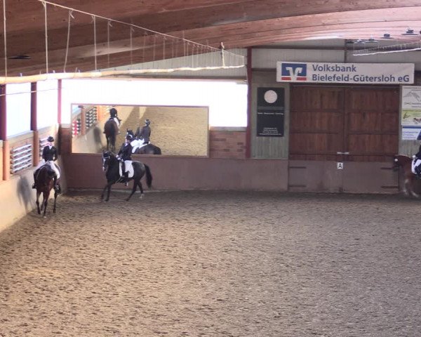 Reitturnier Herzebrock-Rheda 2021