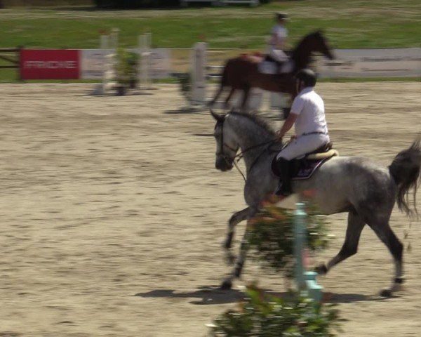 Reitturnier Westergellersen 2024