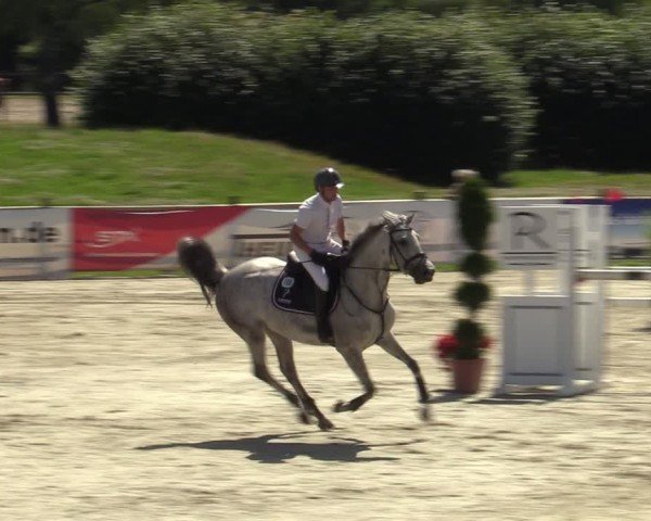 Reitturnier Westergellersen 2024