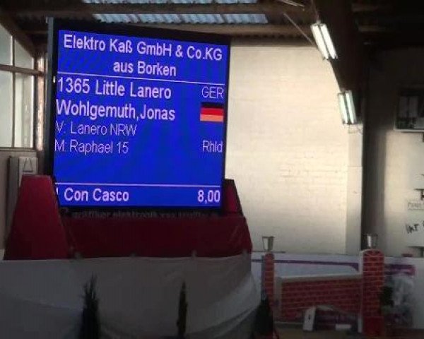 Hallenspringturnier in Borken 2013