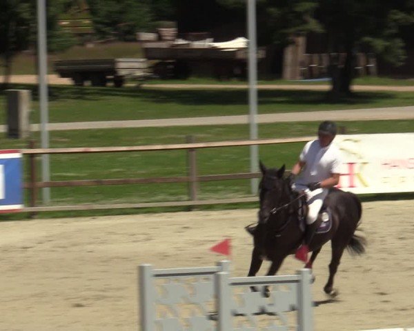 Reitturnier Westergellersen 2024