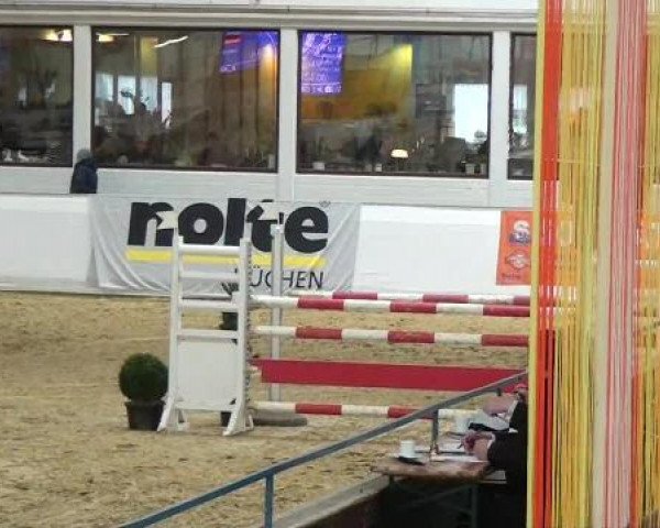Hallenspringturnier in Borken 2013
