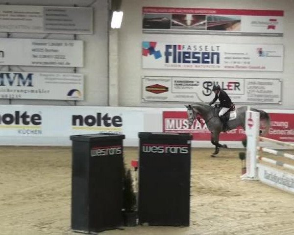 Hallenspringturnier in Borken 2013