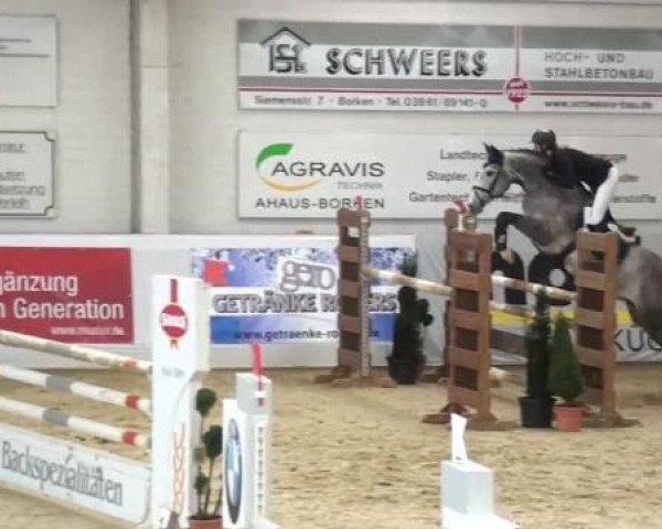 Hallenspringturnier in Borken 2013