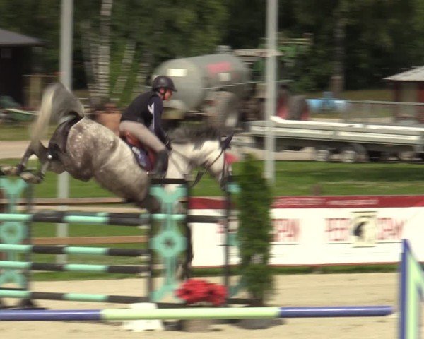 Reitturnier Westergellersen 2024
