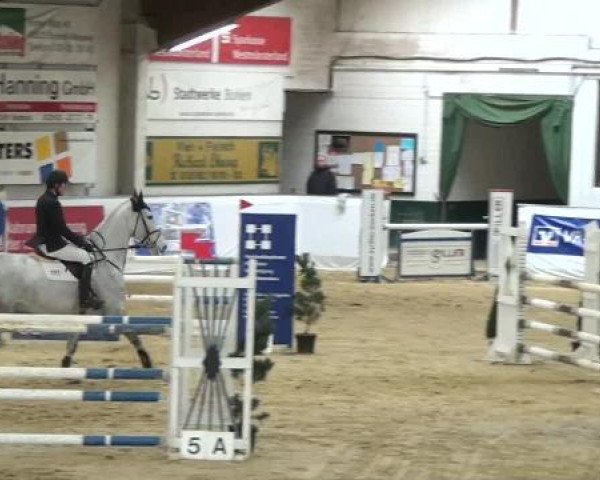Hallenspringturnier in Borken 2013