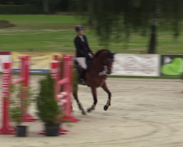 Reitturnier Westergellersen 2024