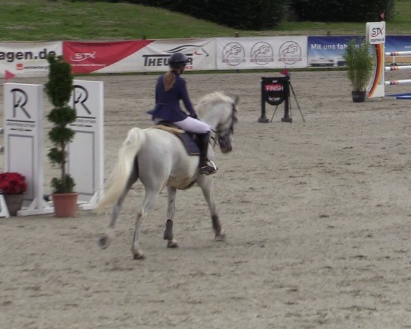 Reitturnier Westergellersen 2024