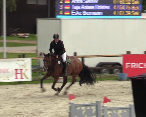 Reitturnier Westergellersen 2024