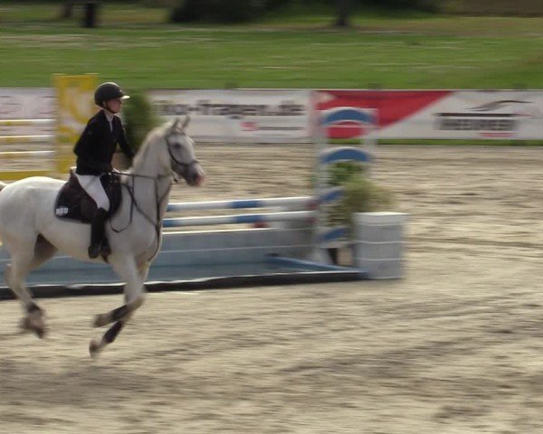 Reitturnier Westergellersen 2024