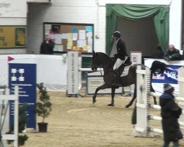 Hallenspringturnier in Borken 2013