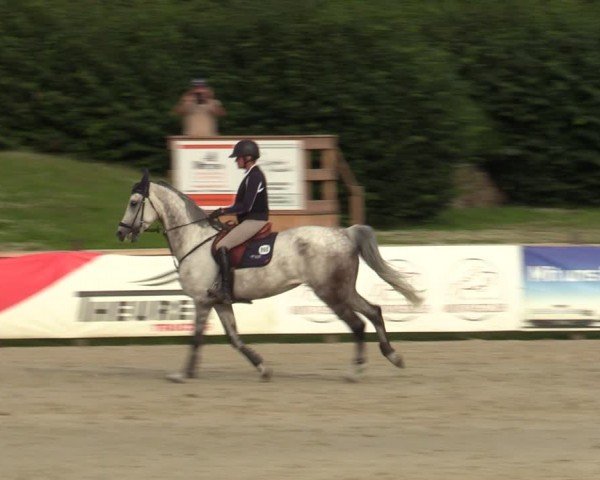 Reitturnier Westergellersen 2024