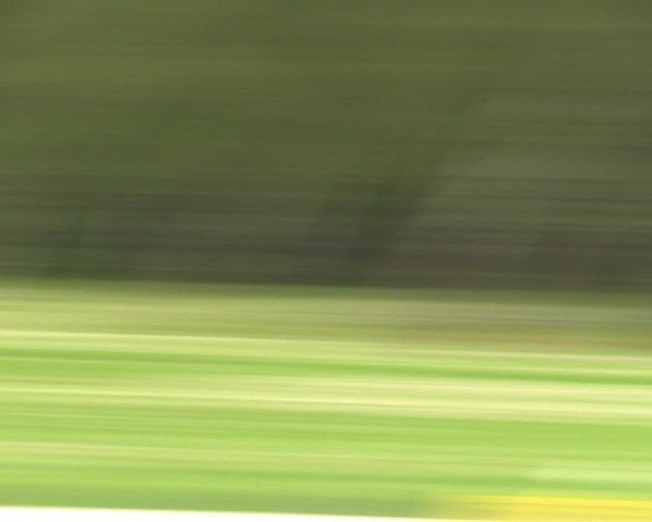 Reitturnier Westergellersen 2024