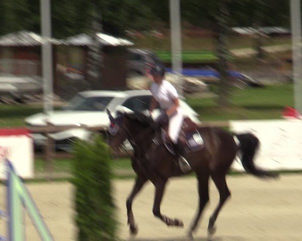 Reitturnier Westergellersen 2024