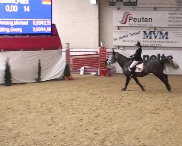 Hallenspringturnier in Borken 2013