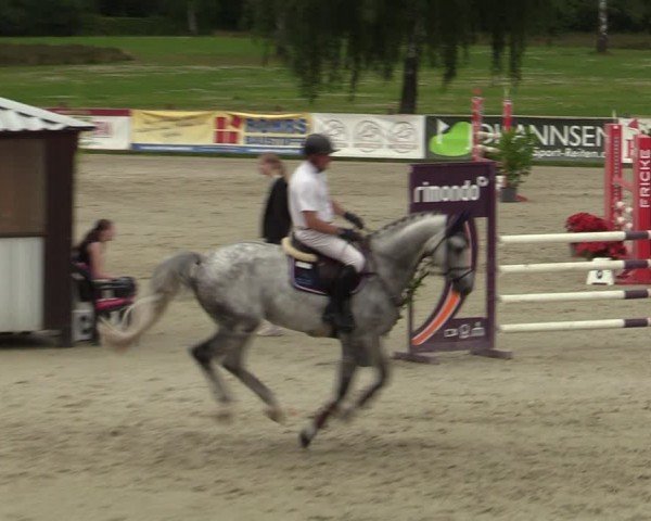 Reitturnier Westergellersen 2024