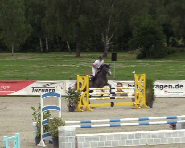 Reitturnier Westergellersen 2024
