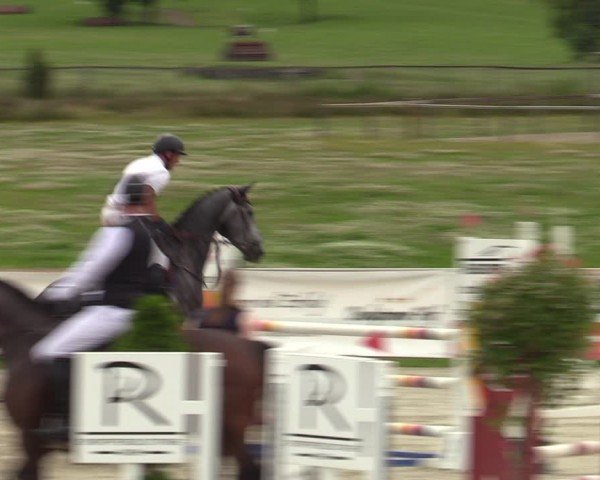 Reitturnier Westergellersen 2024