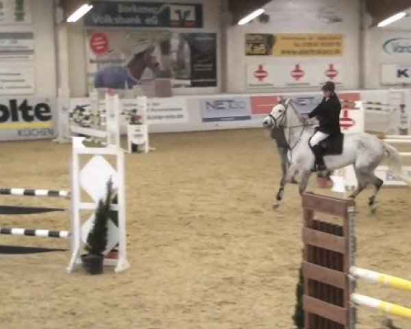 Hallenspringturnier in Borken 2013