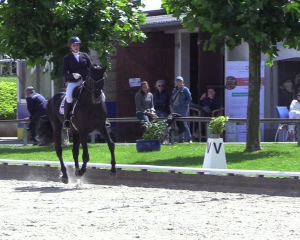 Reitturnier Fröndenberg 2024